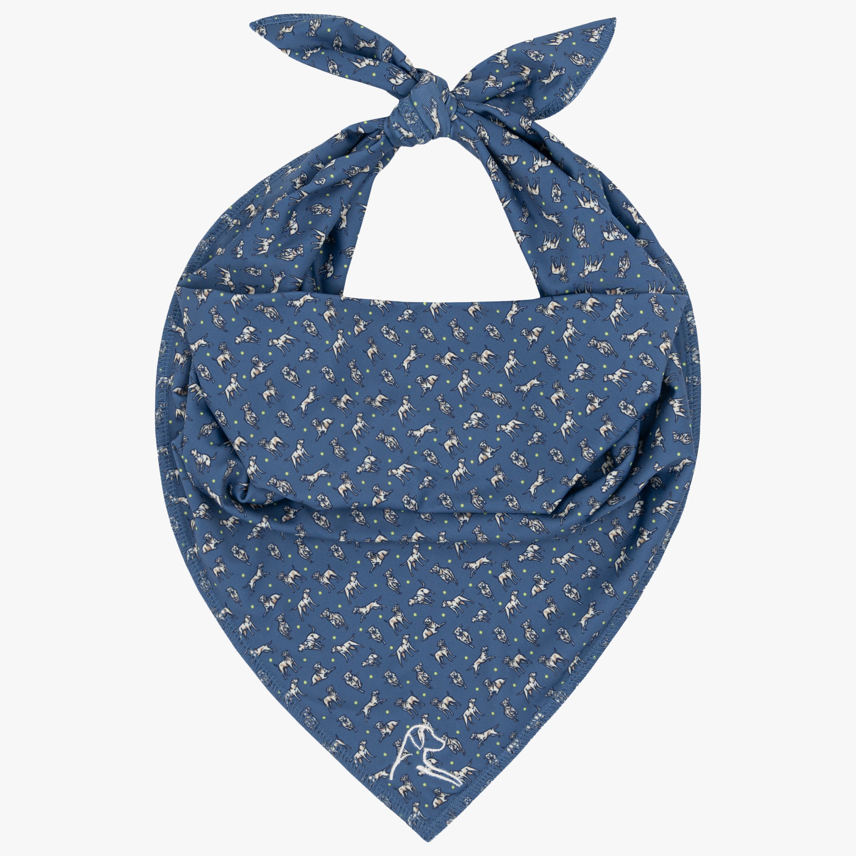 The Lab 2.0 | Performance Bandana | The Lab 2.0 - Coastal Blue/Ivory
